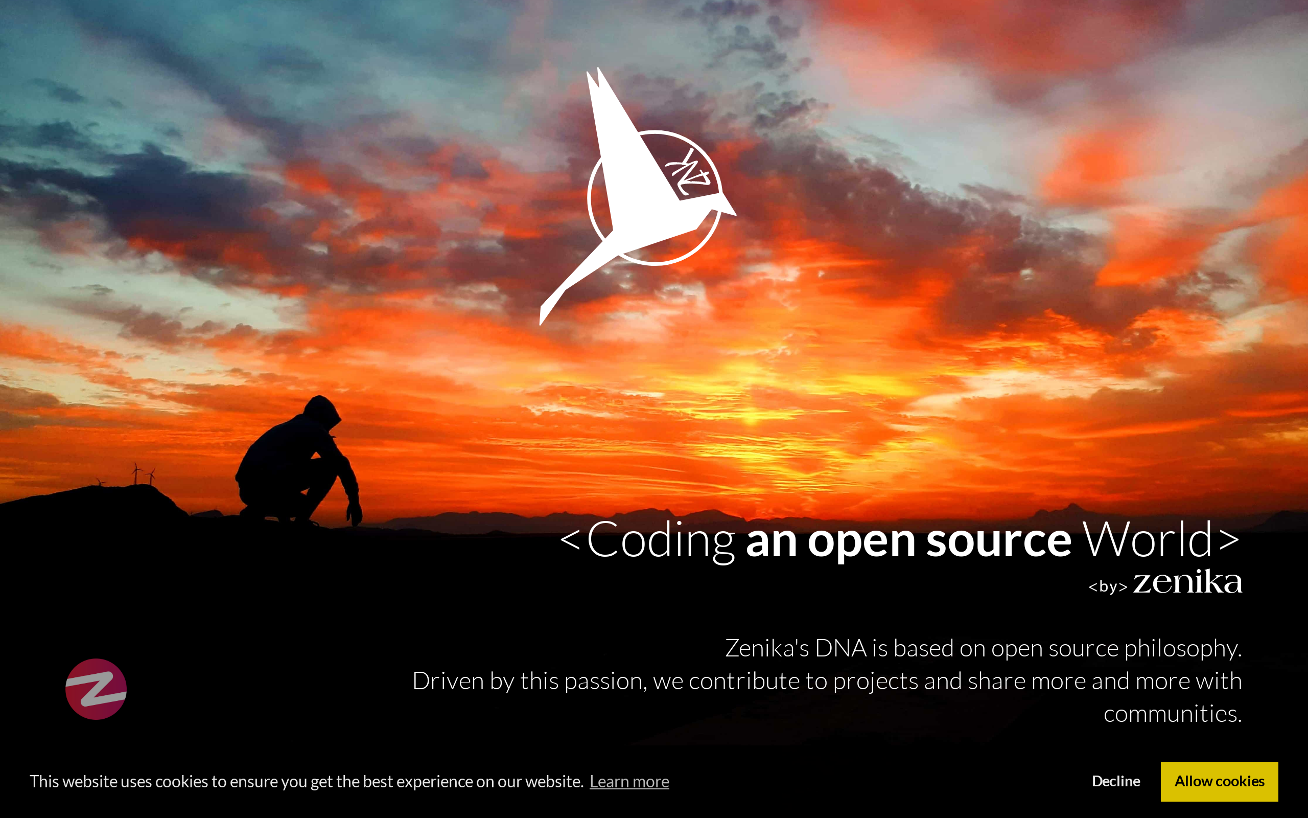 Copie d'écran de https://oss.zenika.com